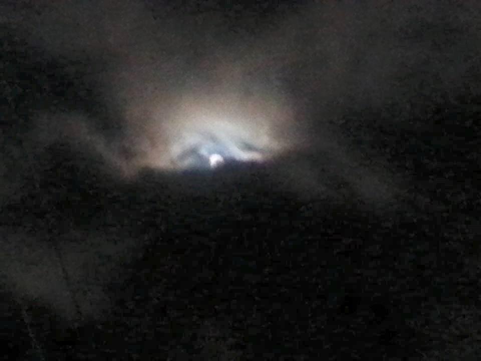 Gavin Pitt's album, Mobile Uploads