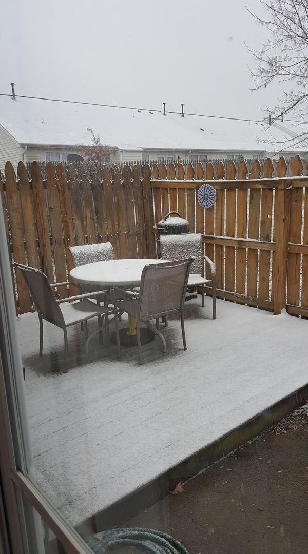 My winter wonder back deck land!