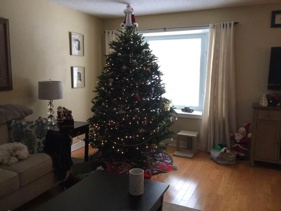 Tree up and ready for the big day ! Merry Christmas to all my friends and family ❤️