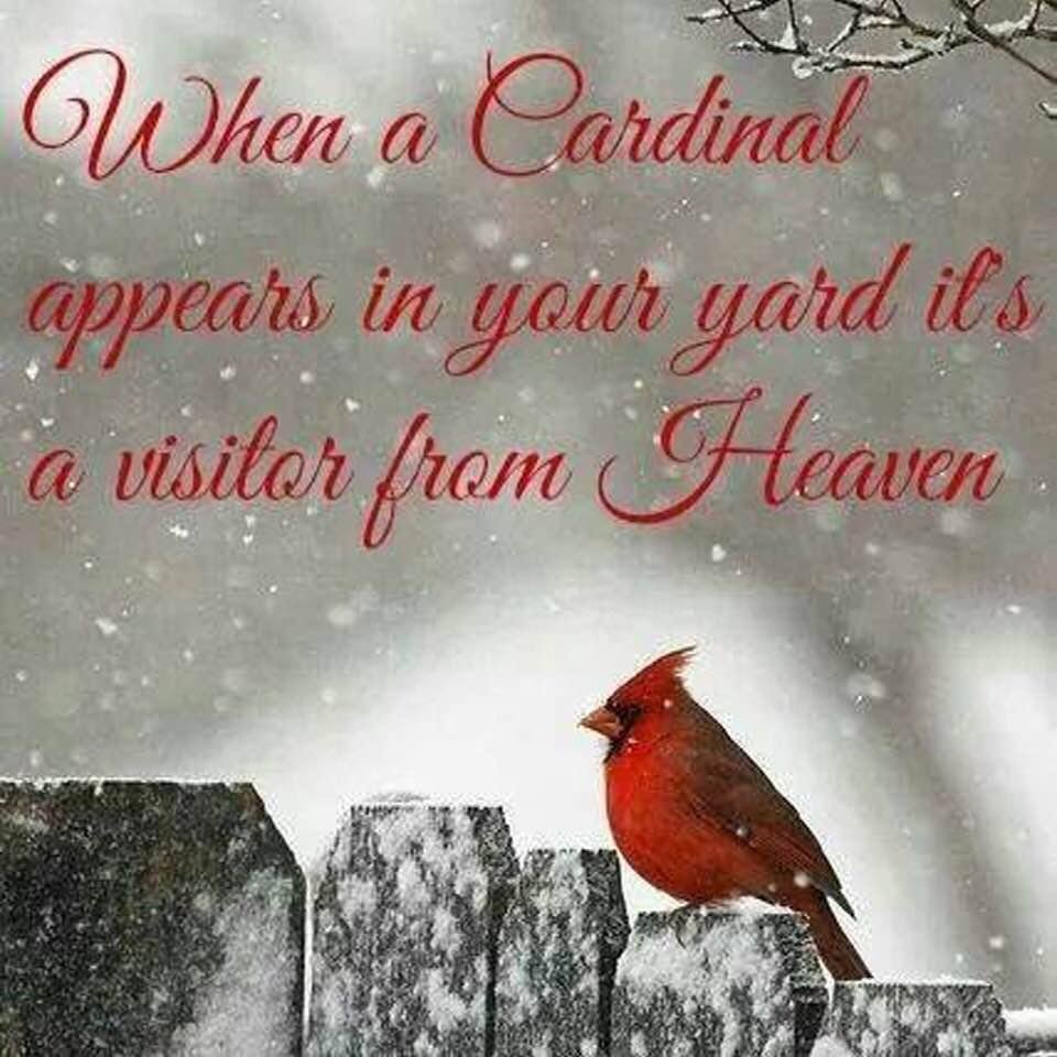 Jacqueline Murphy's album, Timeline Photos