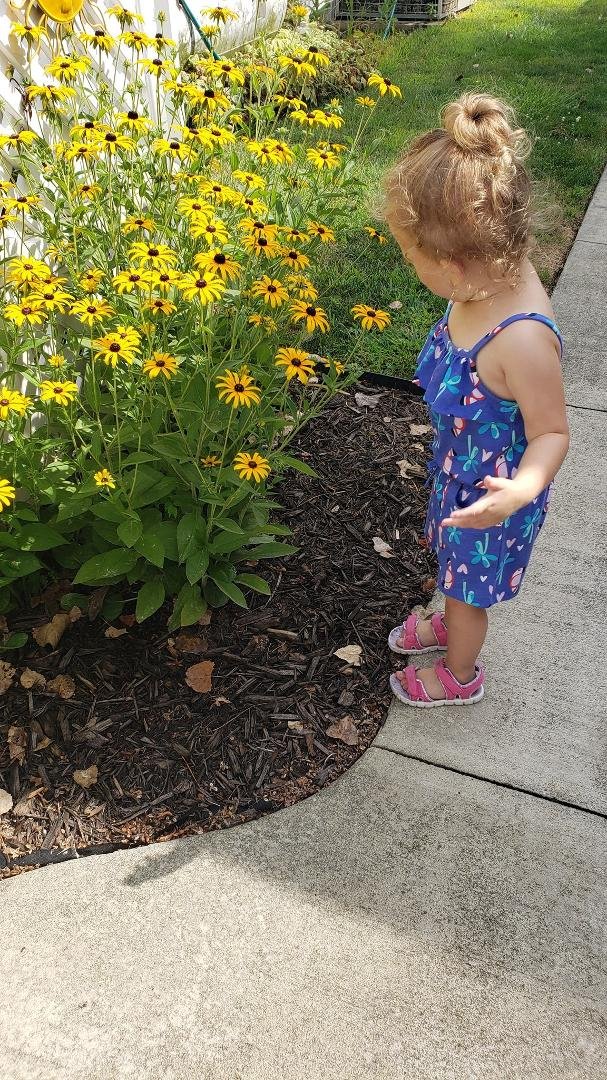 Sally Grandsko's album, Timeline Photos