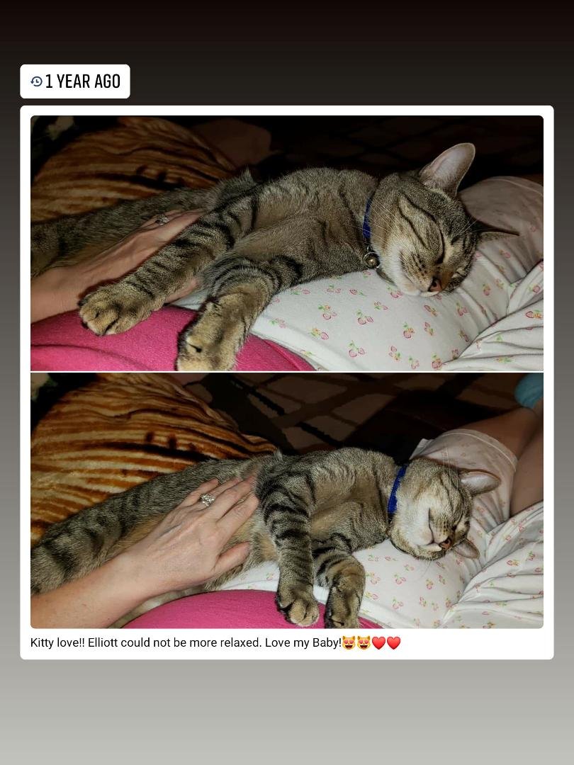 My Baby boy still sweet as ever!!