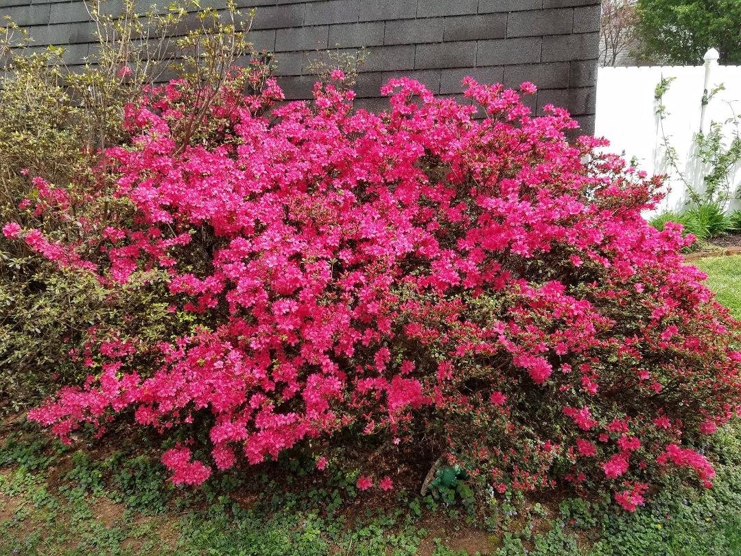 Tim Knoll's album, Timeline Photos
