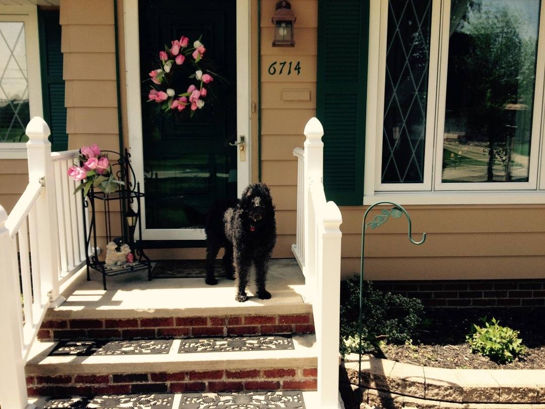My girl standing guard.