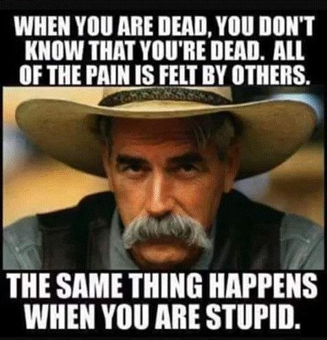 just thought i would share this with all of you...in case you didn't know how to cope with the farcical RNC convention even a day later....i feel your pain
