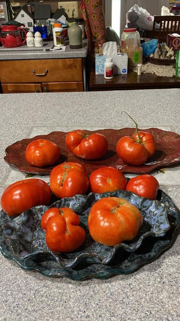 Some of my knobby tomatoes from my garden. Knobby but so sweet!