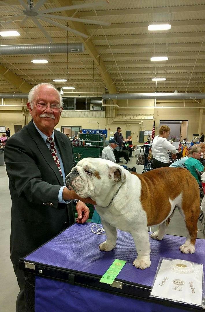 Corrected picture from yest. Digby BOB, grp 2 Owner Handled, grp 4 Variety