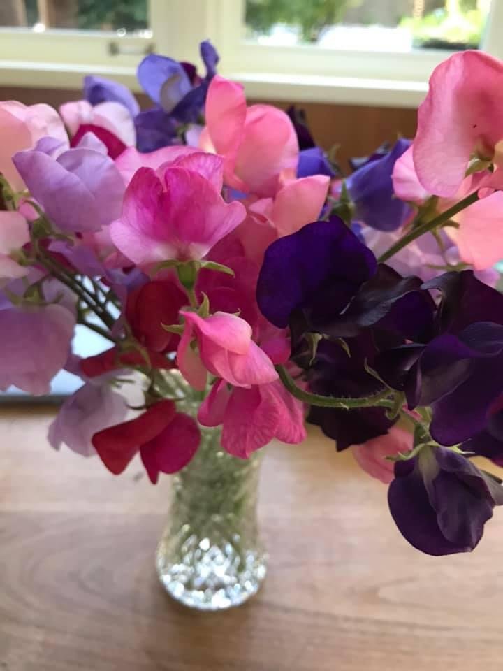 Susan Wareing's album, Mobile uploads