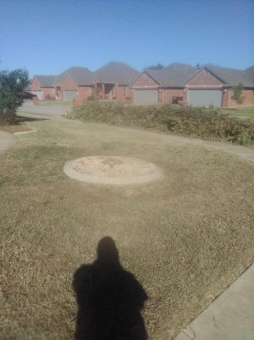 Whew. Finished. Now to find a stump grinder. Stump measures 14 in. by 16 in.