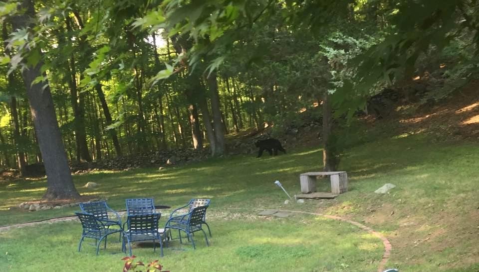 Sean Armstrong's album, Timeline Photos