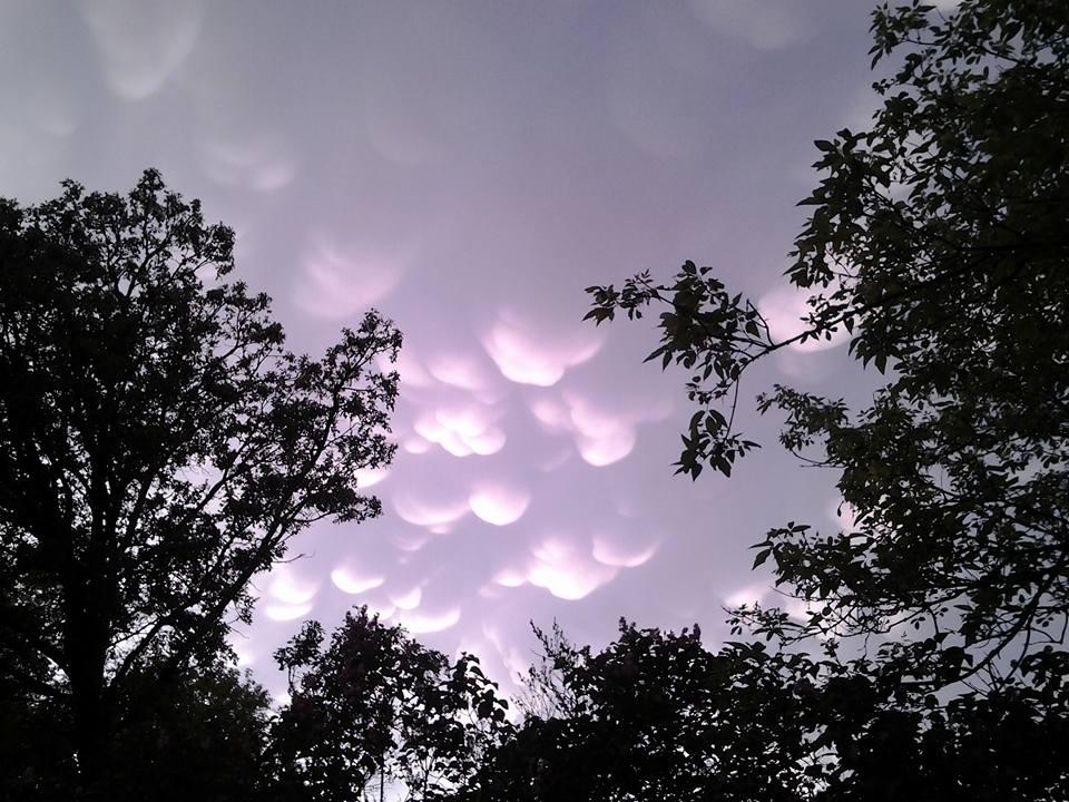 Ctton ball sky.