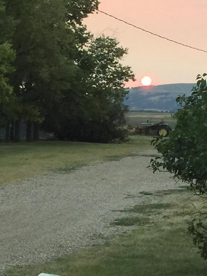 Cindy Schumacher's album, Mobile Uploads