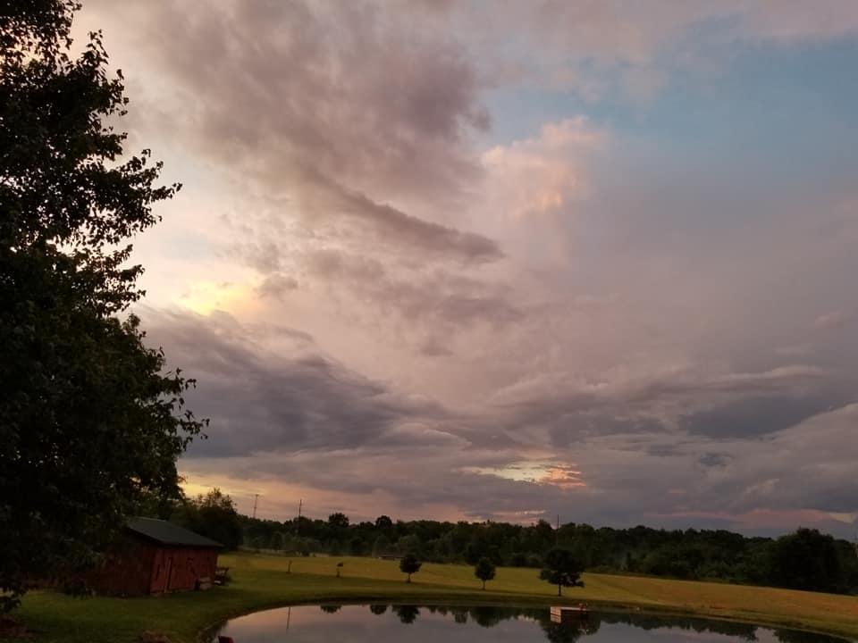 Sandy Miller's album, Mobile Uploads