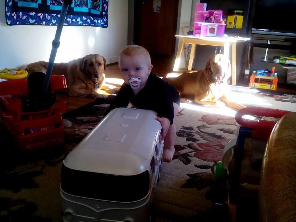 Tim Lee's album, Mobile Uploads
