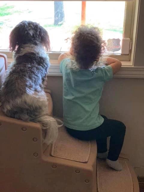 👧 A Girl and her Dog 🐶