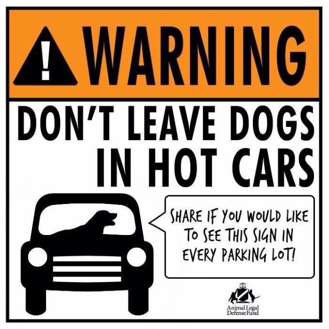 Suzanne Mabry Gunn's album, Timeline Photos