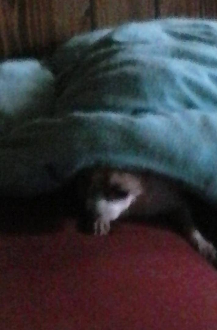 Chloe where are you.....LOL