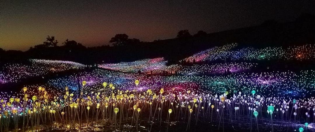 With Joanne Lawrence Terp in Paso Robles at the fantastic Sensorio Light Fields. Unbelievably beautiful and it's not even completely dark. A must see.