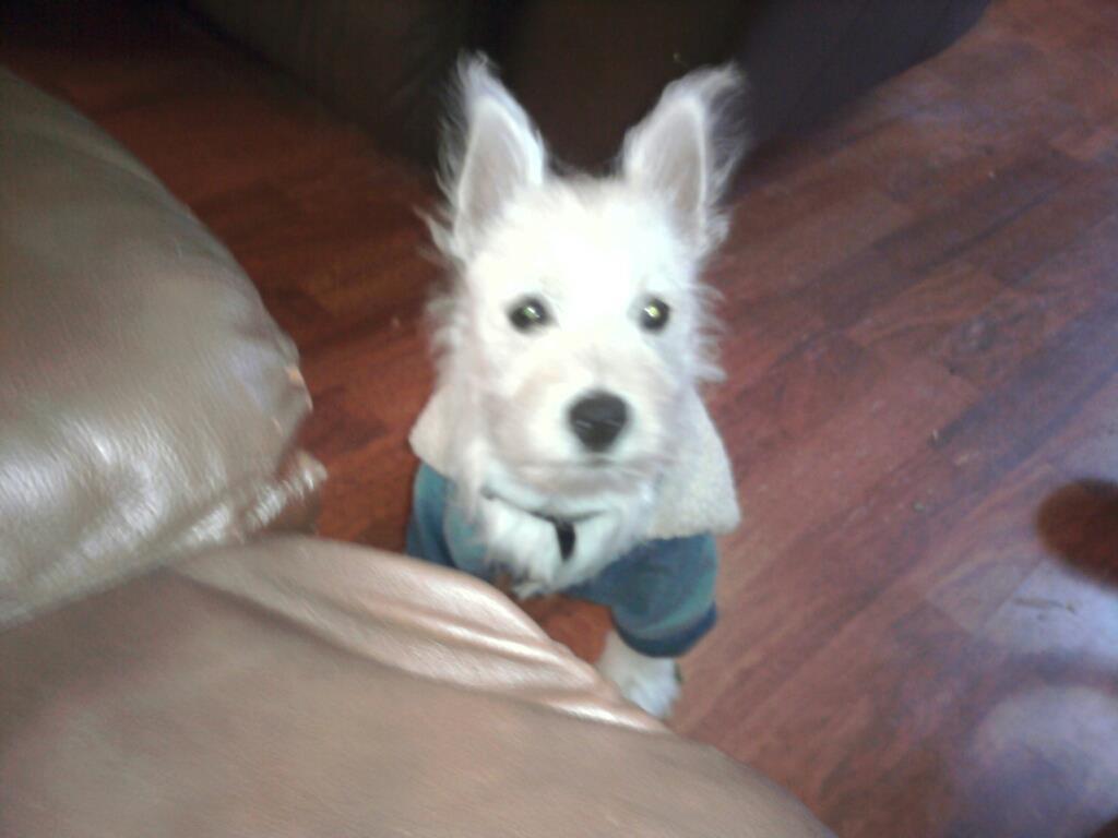 Hey, yo who got my bacon.