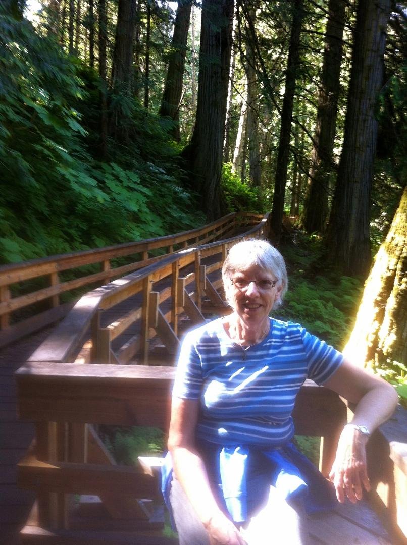 At the Ancient Forest.