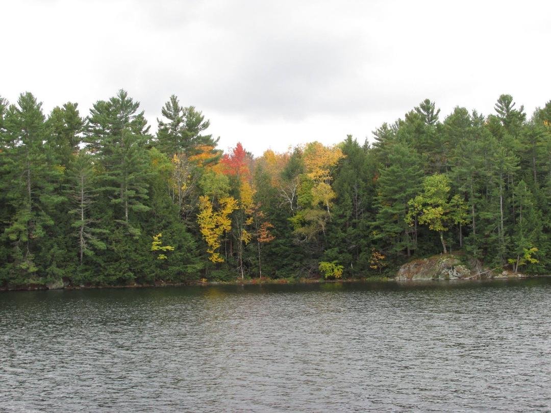 Michael Doyle's album, Muskoka in the Fall