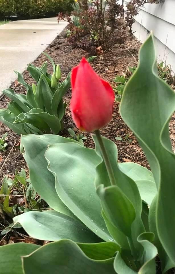 Nancy Blatz's album, Timeline Photos