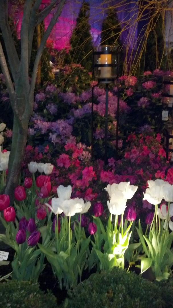 Spring has sprung at the Home and Garden Show. Beautiful gardens!