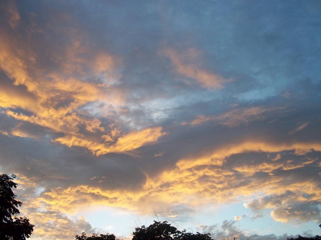 Robert Phillips' album, Timeline Photos