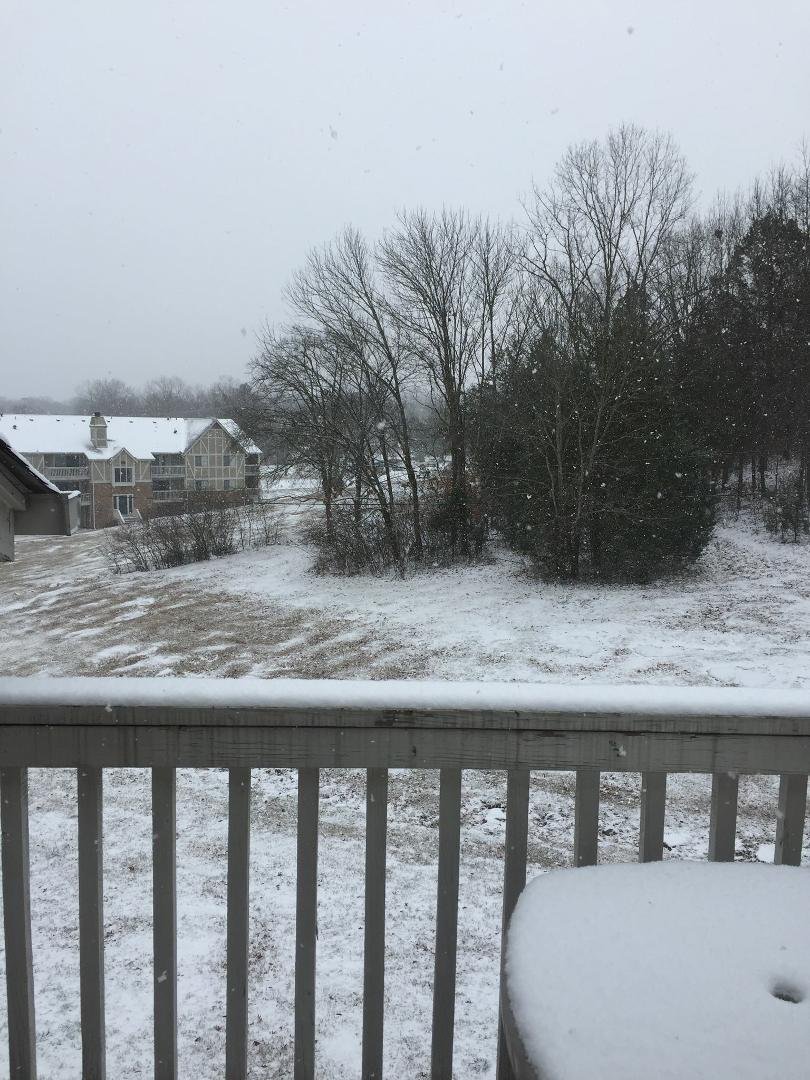 Snow day!