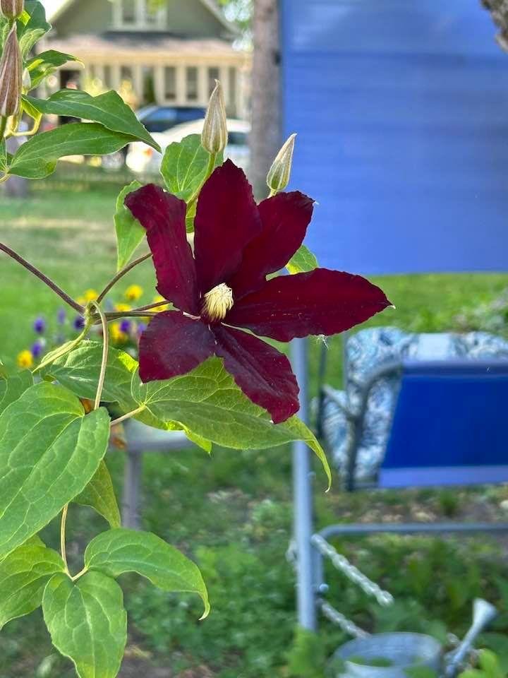 Catherine Reasoner's album, Timeline photos