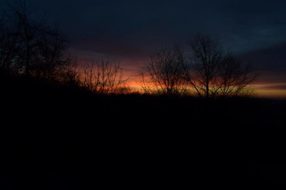 James Owens' album, Mobile Uploads