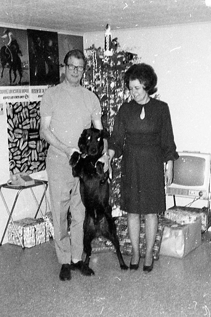 Proof, Dad, that Mickey was part of the family...