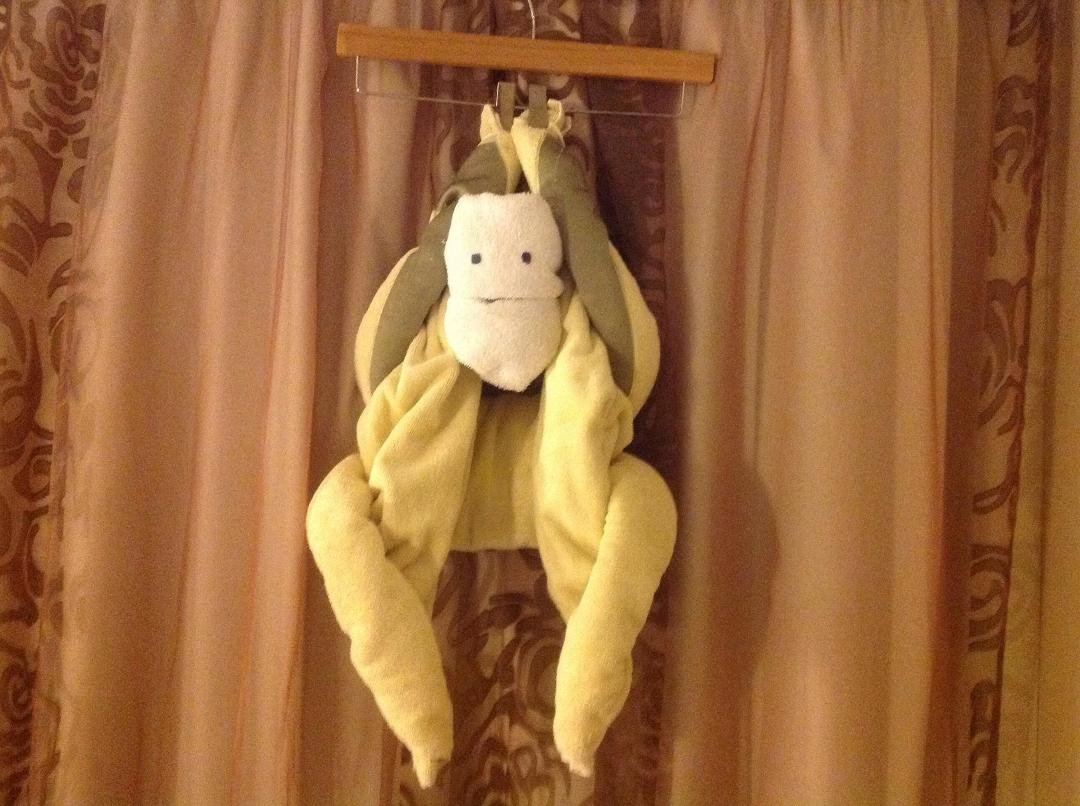 Monkeys have invaded our room!!!!