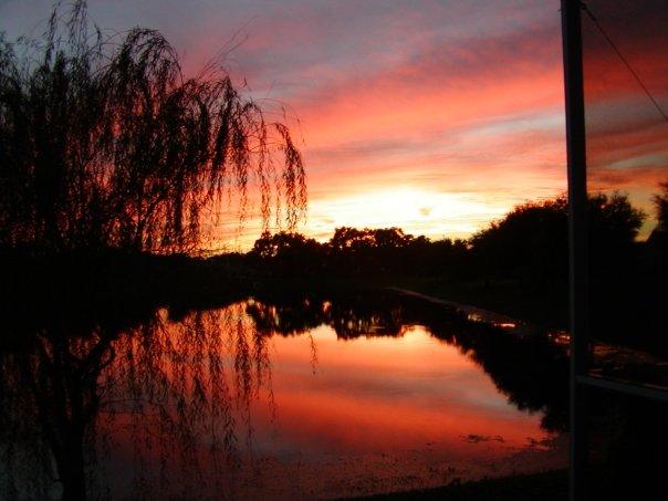 larry abbott's album, Sunsets in Florida