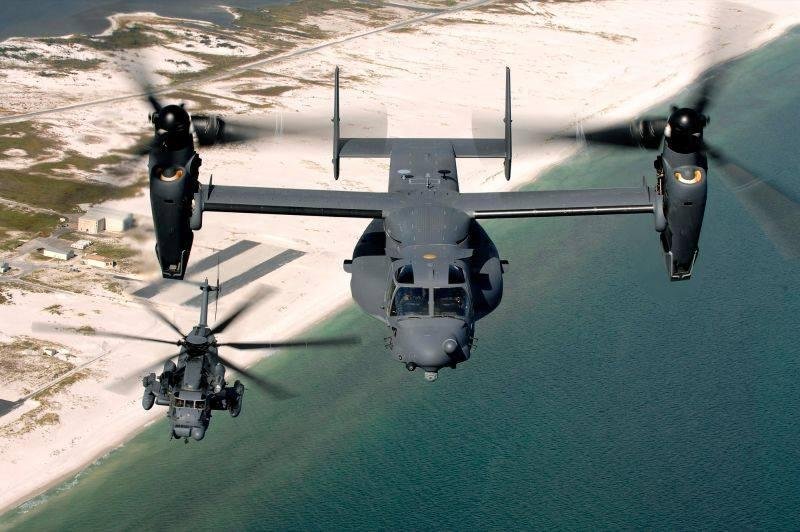 Ron, osprey flying over the gulf.