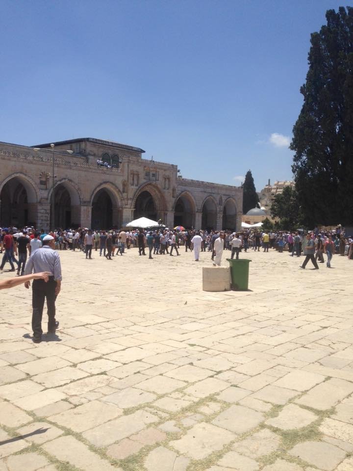 Mohammad Ribhi's album, Mobile Uploads