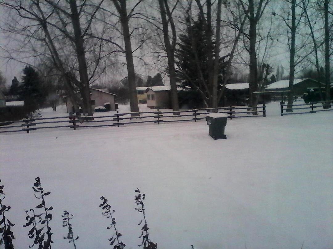 In front of our house.