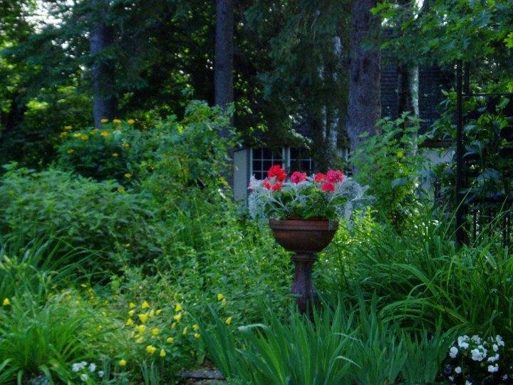 Rosemary Capocci's album, Gardens 2009