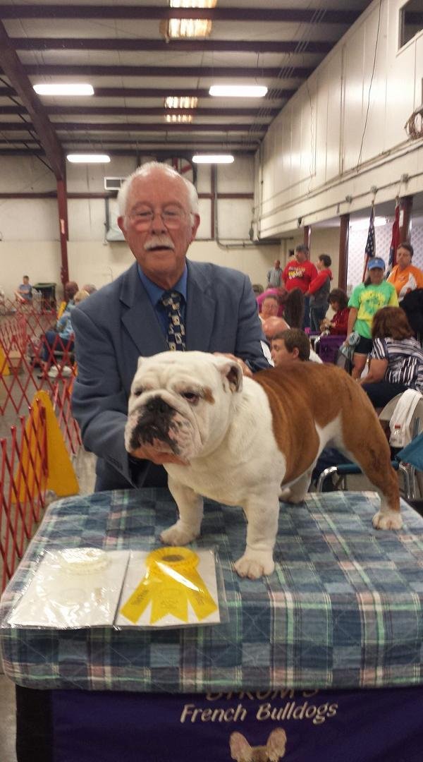 Digby, grp 3 variety grp, grp 4 owner handled, in Gray, TN. Today.