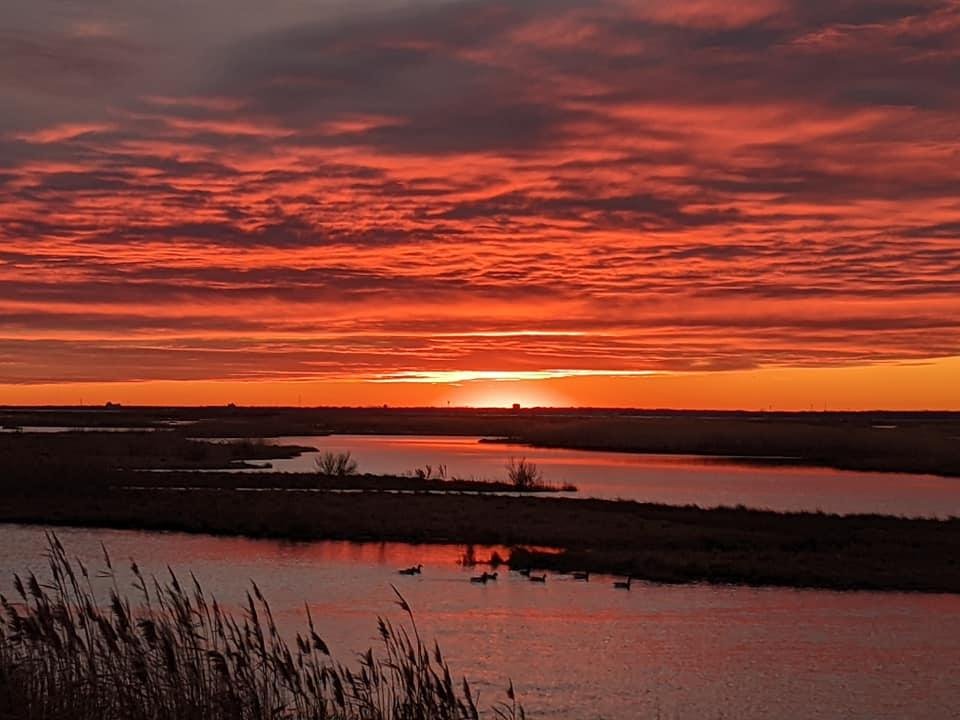 Sunset at Cape May Nature Centee