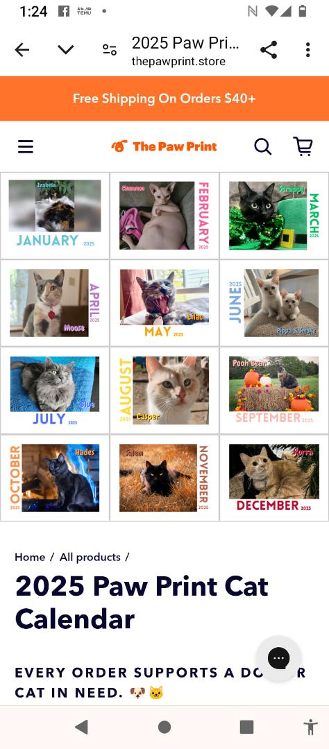My cat Izabela won a photo contest. She's Miss January! For "Paw Prints". Proceeds go to animals in need. Congratulations Izabela!