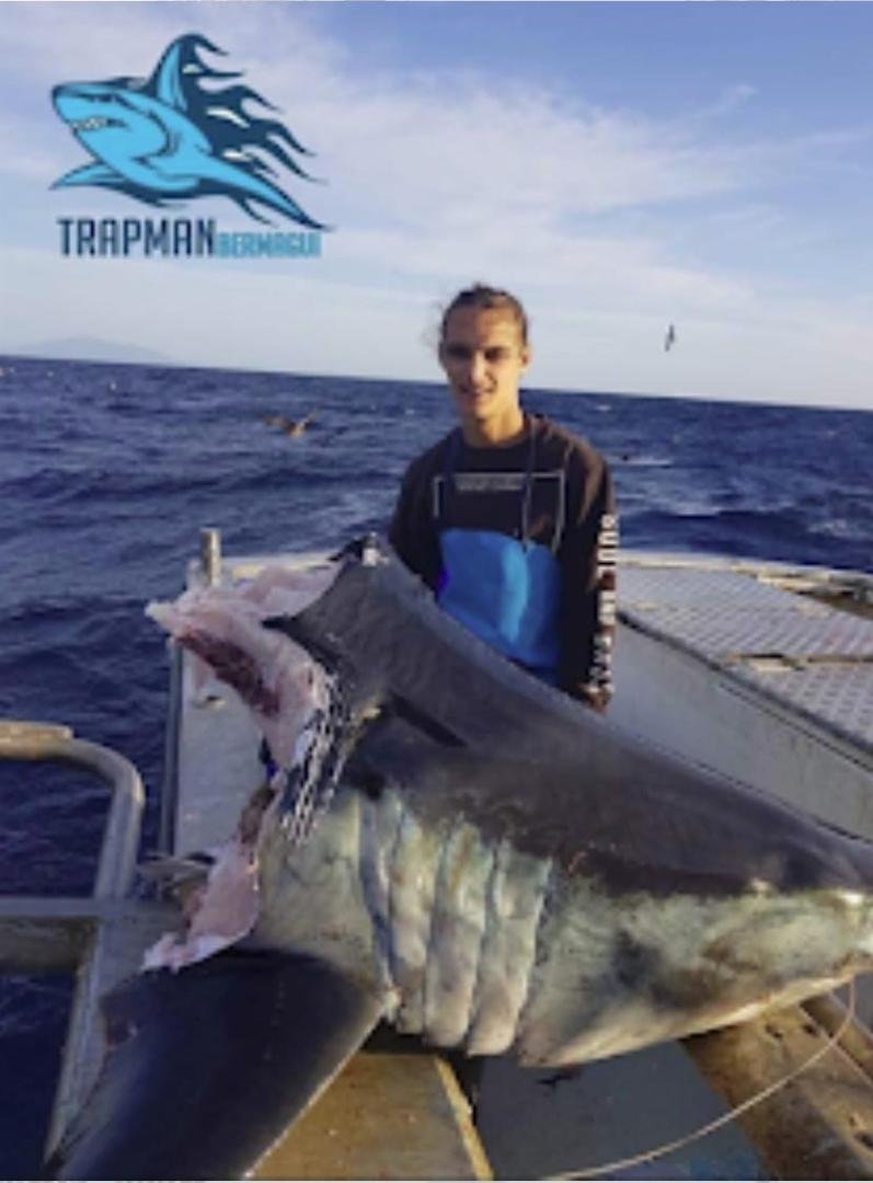 They pulled this 220 lb Mako shark head into the boat out of Australian waters. Question is, what bit the shark in half???