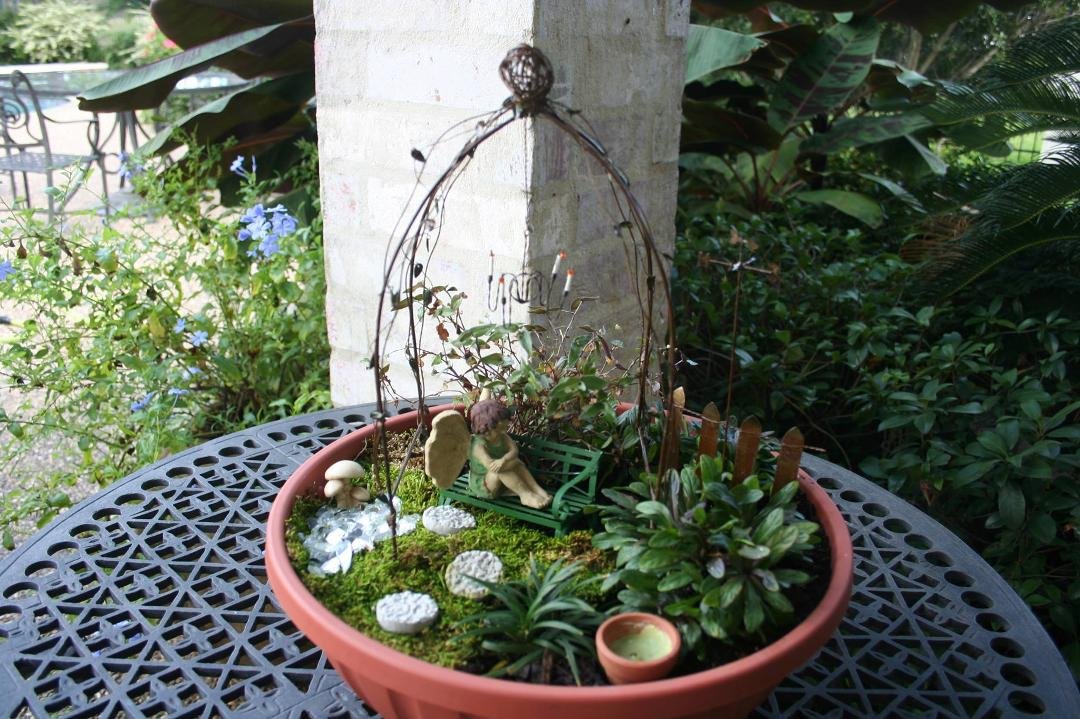 My Fairy Garden........thanks Claudia!