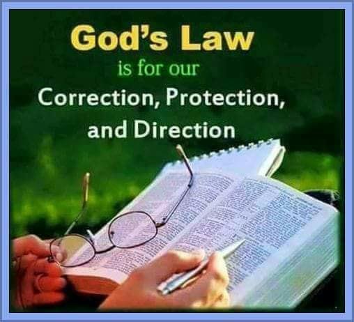 Edward Phillips' album, Timeline Photos