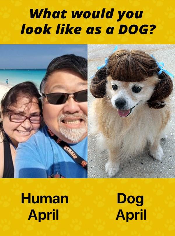 April Willson Kamada's album, Timeline photos