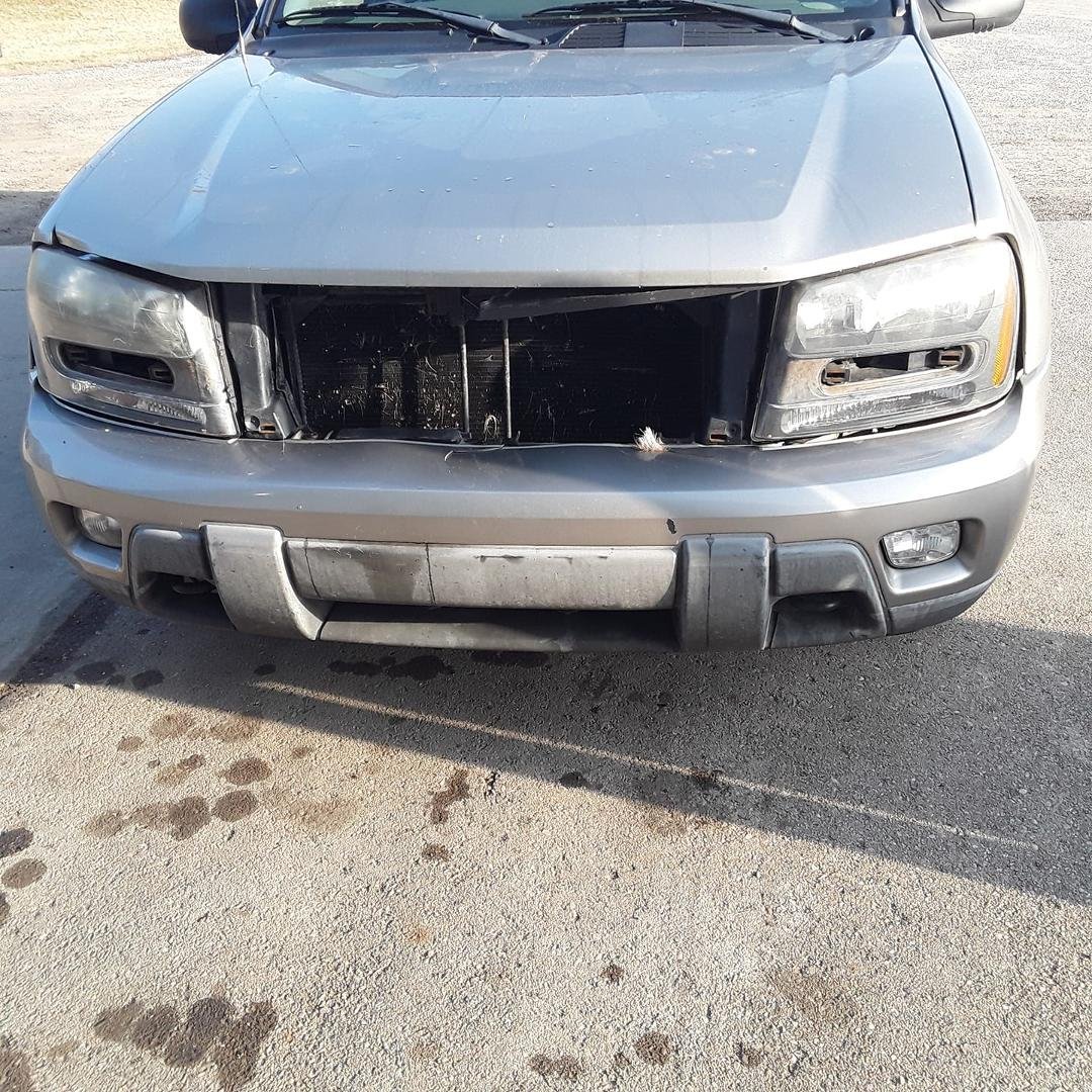I ran into a herd of about 7 deer this morning. Most ran into the side of my car but a smaller one went into my grille. I got away cheap, just a broken plastic grille and a bunch of fur stuck to the deivers door jam. I call