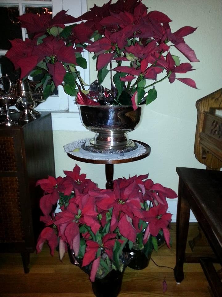 The remnants of the holidays.
