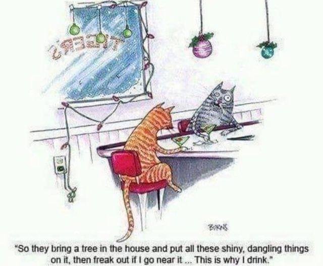 Coreen Murphy's album, Timeline photos