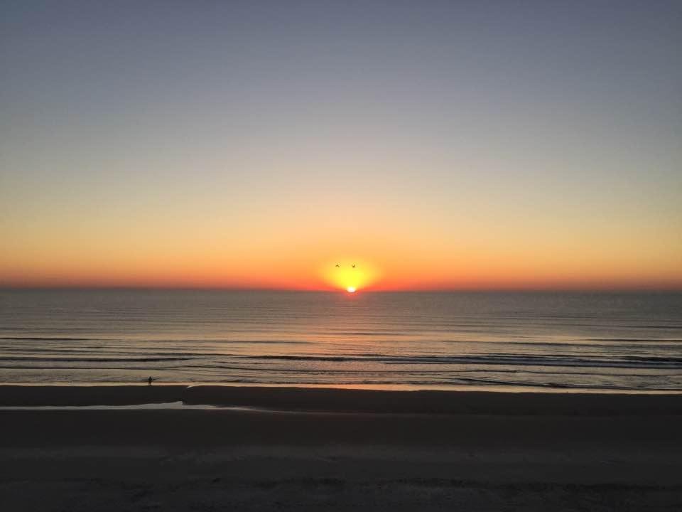The pelicans are up. Fishing by sunrise.