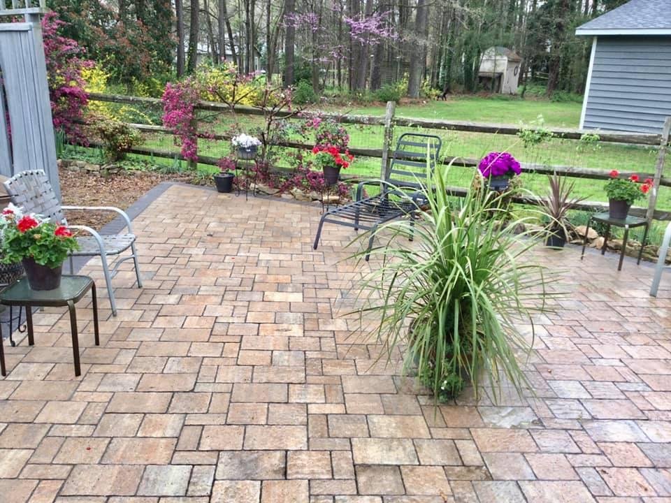 The view from my kitchen window.I love spring in the South.